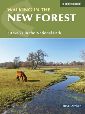 Walking in the New Forest - ebook